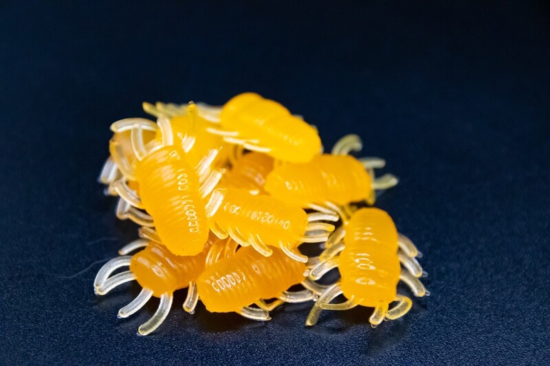 Ice Bugs - Orange Glow
