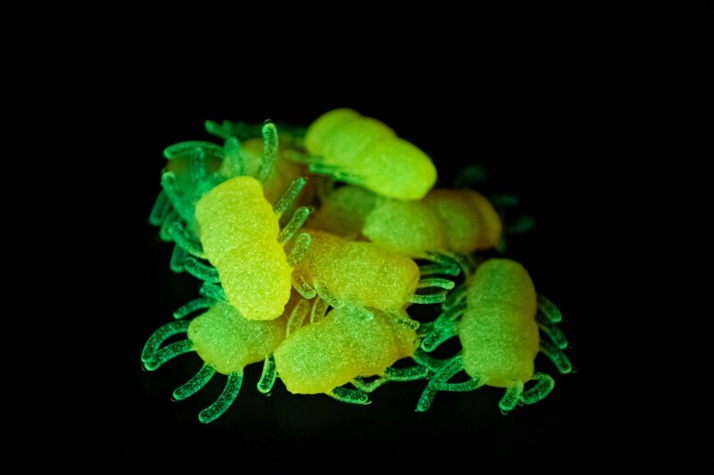 Ice Bugs - Orange Glow