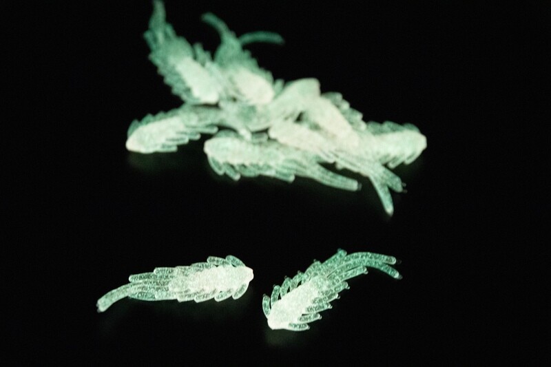 Scud Bugs - Pink/Glow
