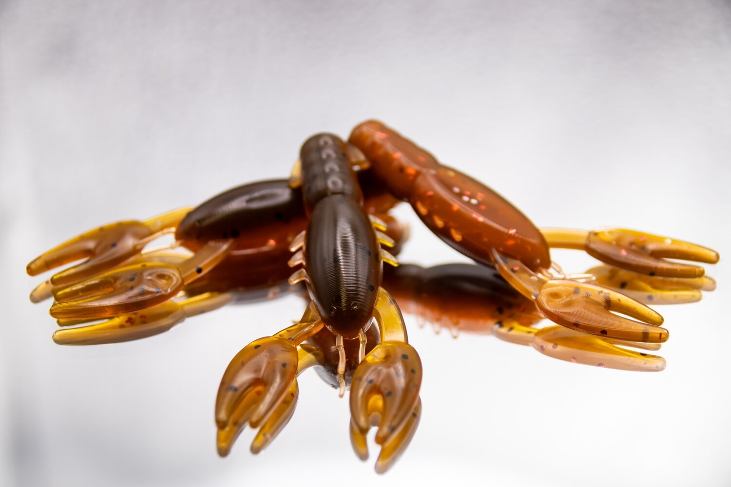  Ned Craw’s , Molting Craw