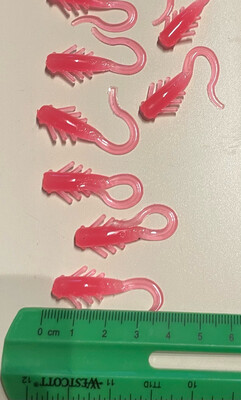 Whip Tails