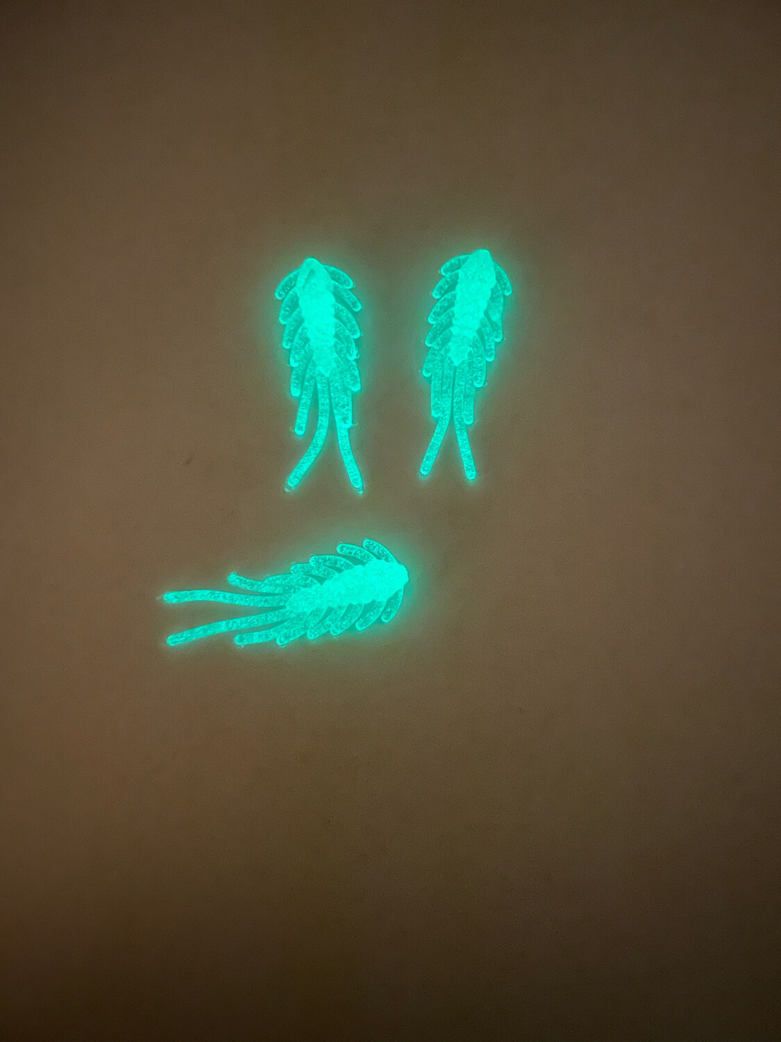 Scud Bugs- Green Glow