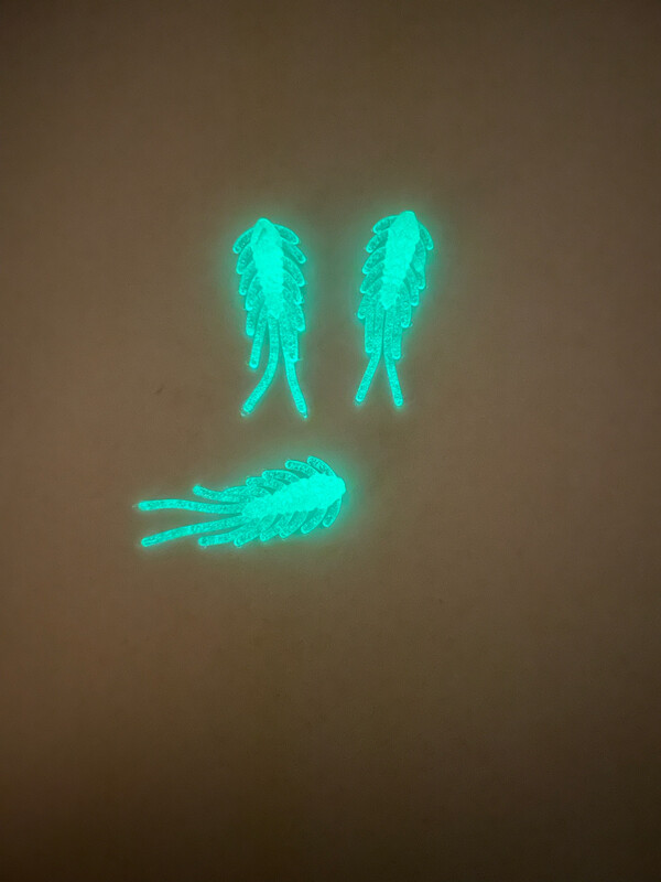 Scud Bugs- Green Glow