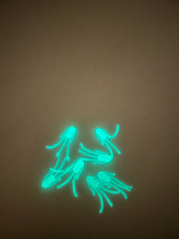 Mustache Bug- Green Glow