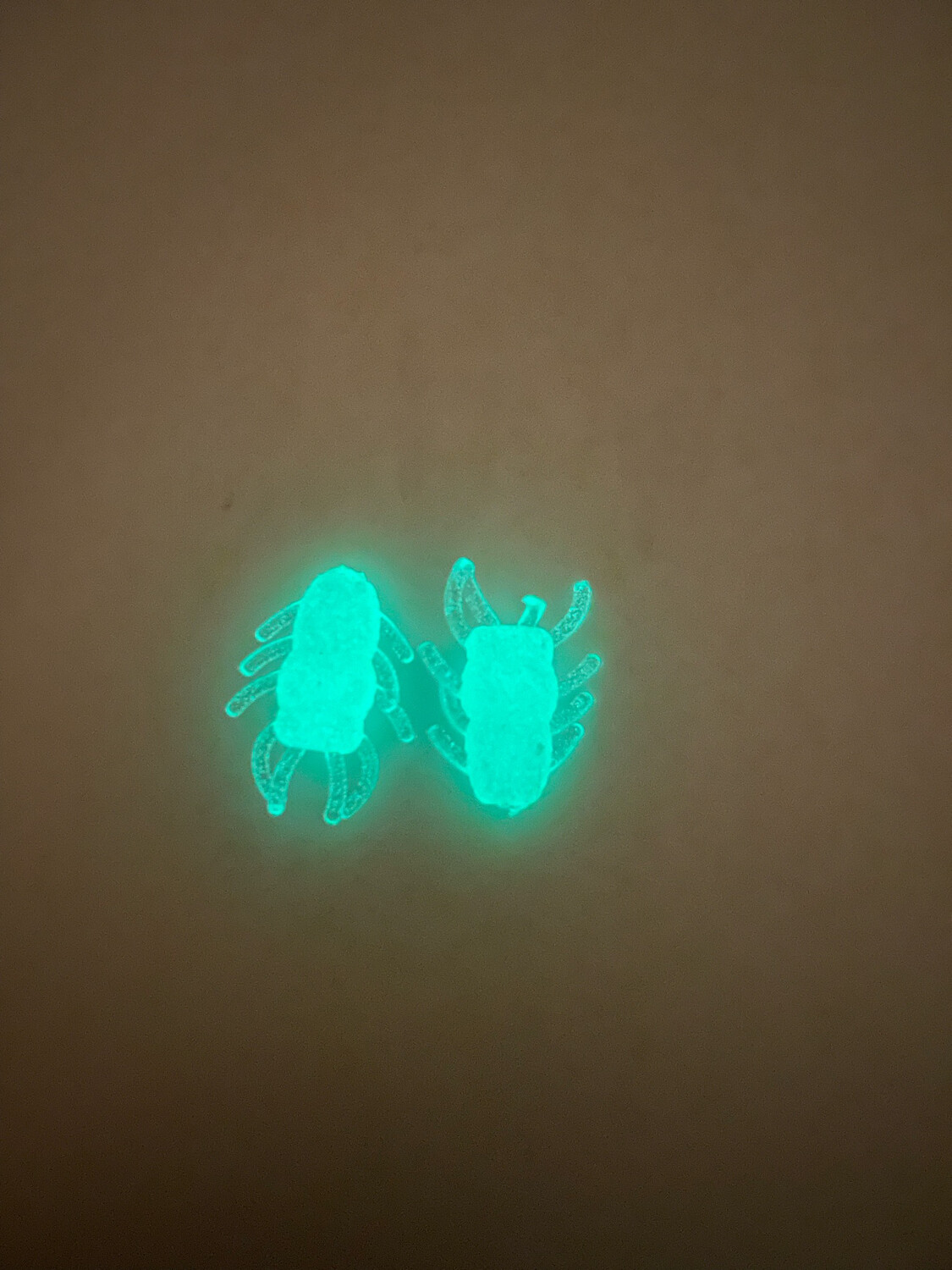 Ice Bugs - Green Glow