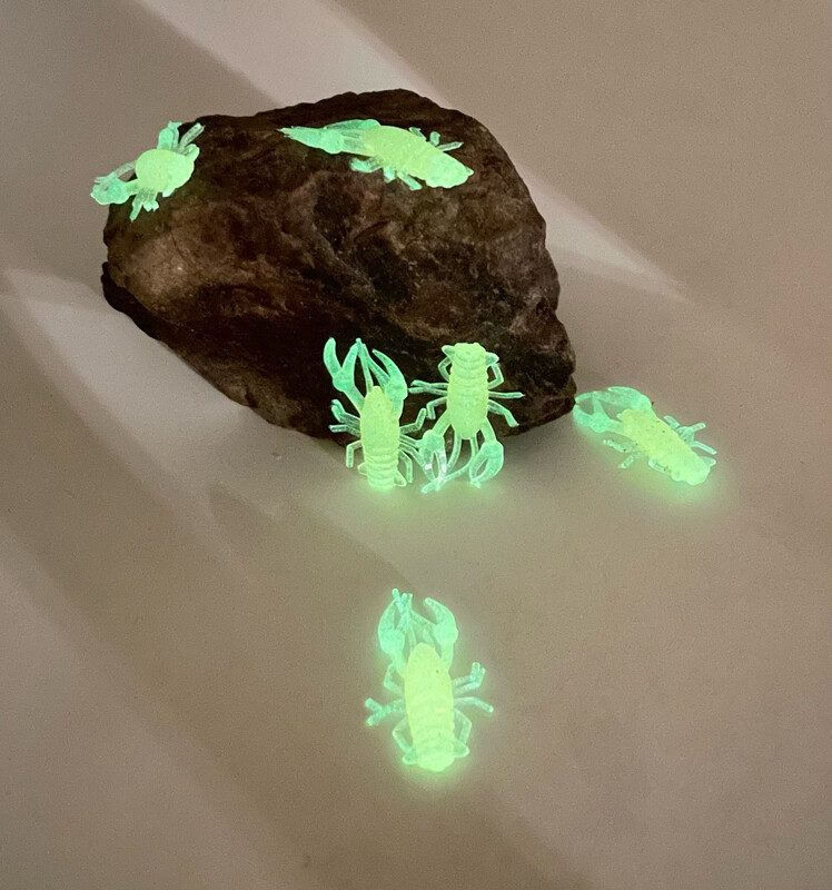 Mini Craws - Orange Glow