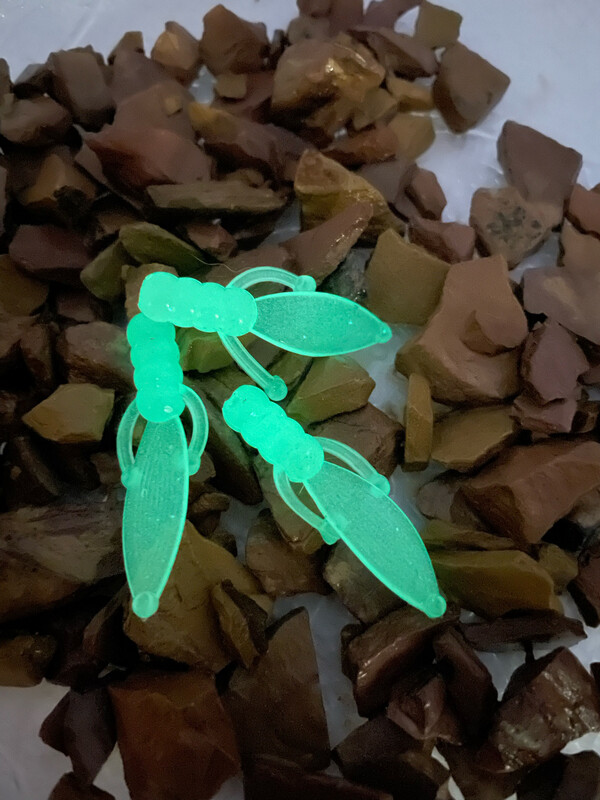 Mini Beavers - Natural Glow