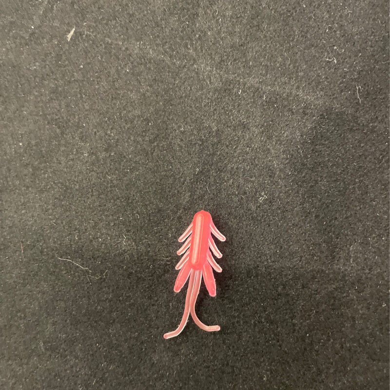 Brush Baby’s - Pink Glow