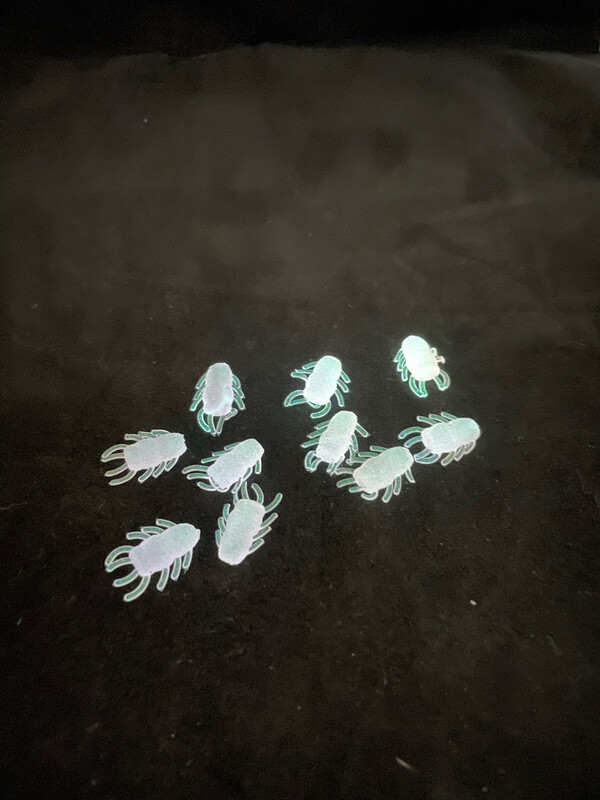 Ice Bugs - Pink Glow