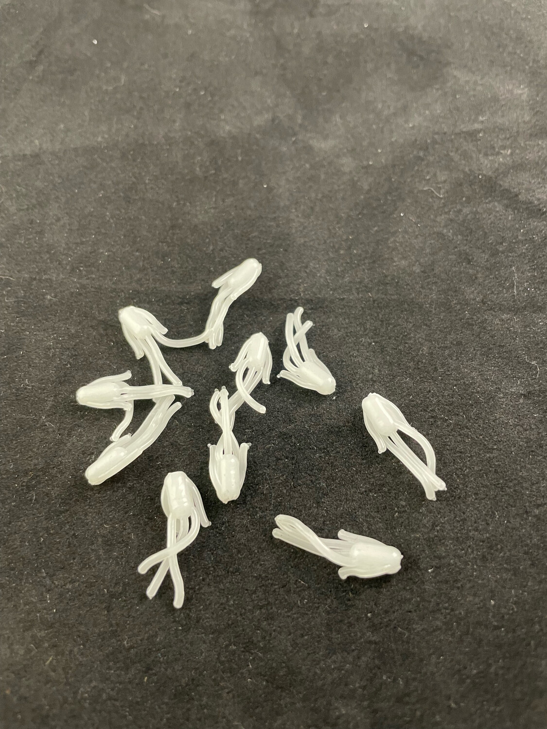 Mustache Bugs - White