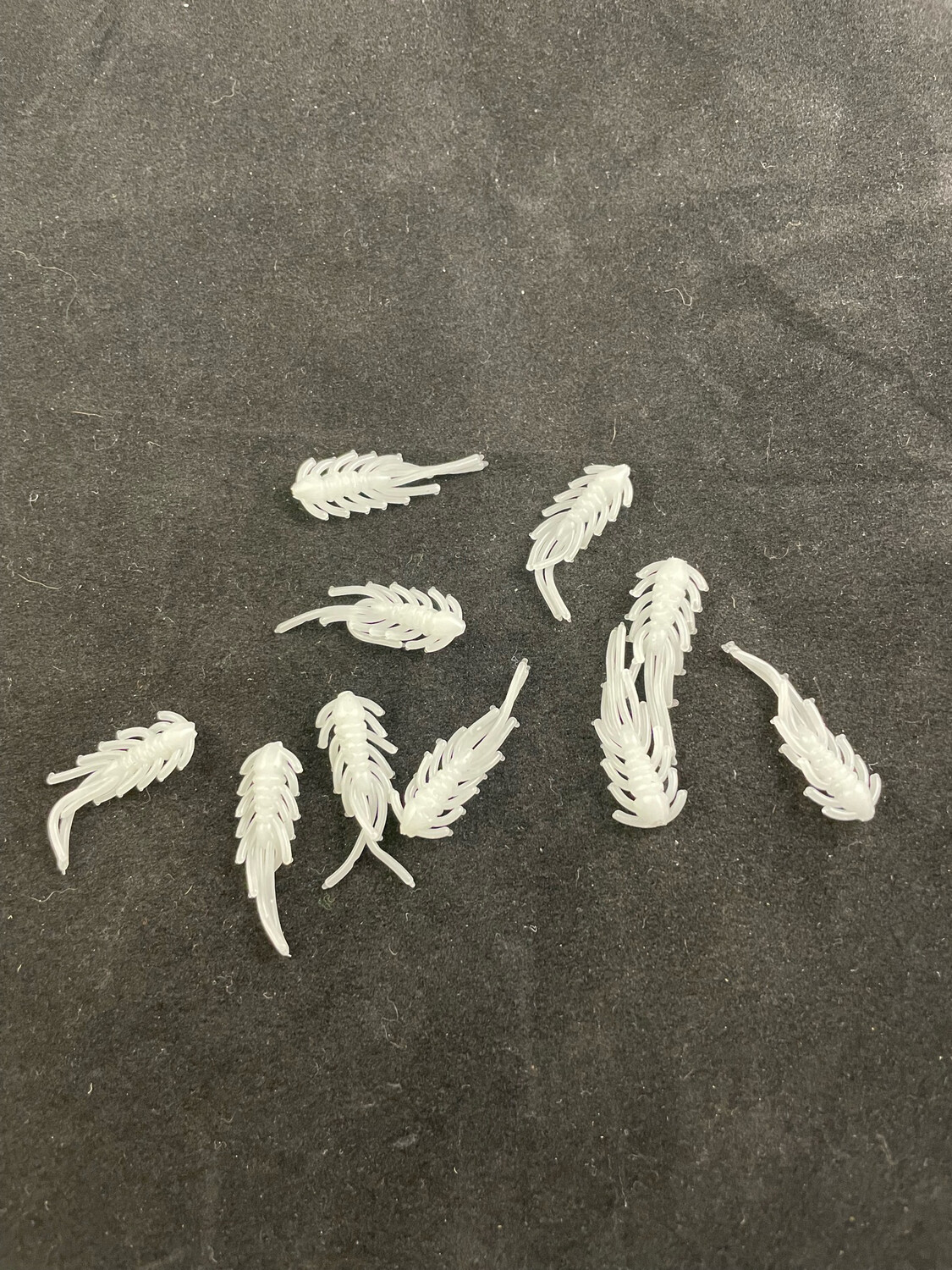 Scud Bugs - White