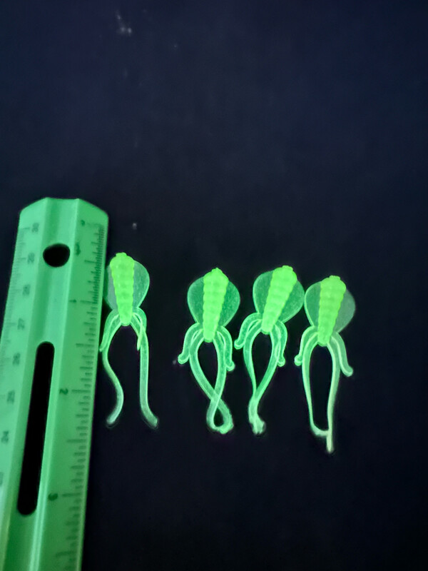 2” Puddle Jumpers - Chartreuse Glow