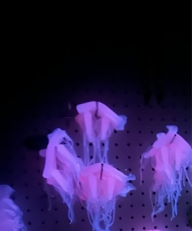 4” Puddle Jumpers - Cotton Candy Glow