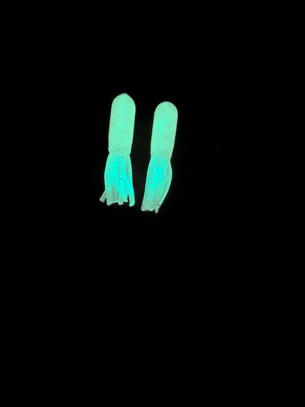 2.5” Glow Tubes - Chartreuse / White
