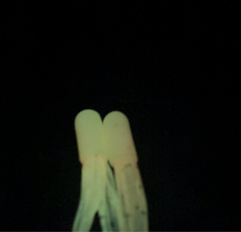 2.5” Glow Tube. Orange / White