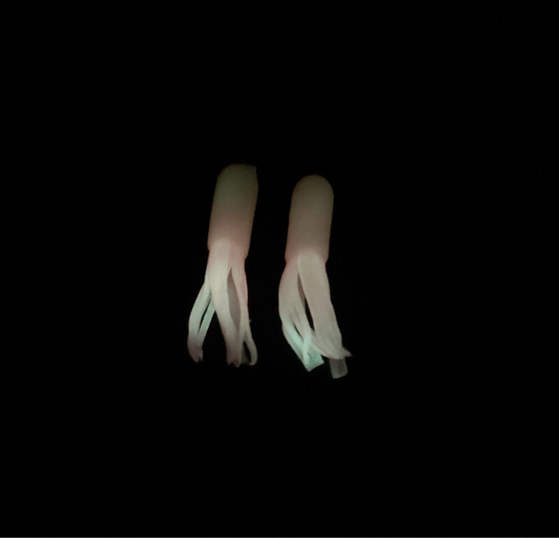 2.5” Glow Tube. Pink/ White