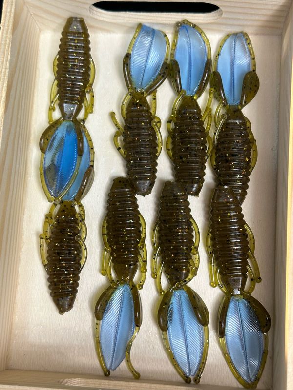 Little Stingers. Green Pumpkin Blue Tails