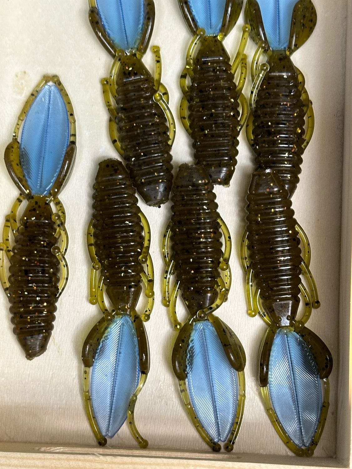 Little Stingers. Green Pumpkin Blue Tails
