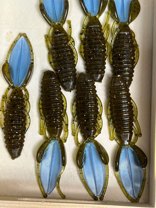 Little Stingers. Green Pumpkin Blue Tails