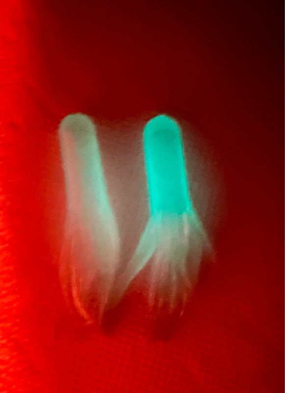 Blue Glow