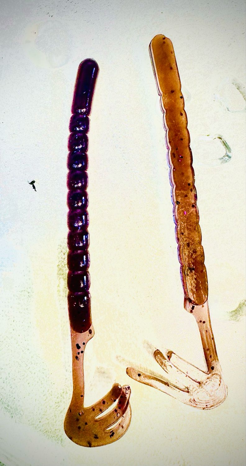 Swim Worm’s - Pb&amp;j