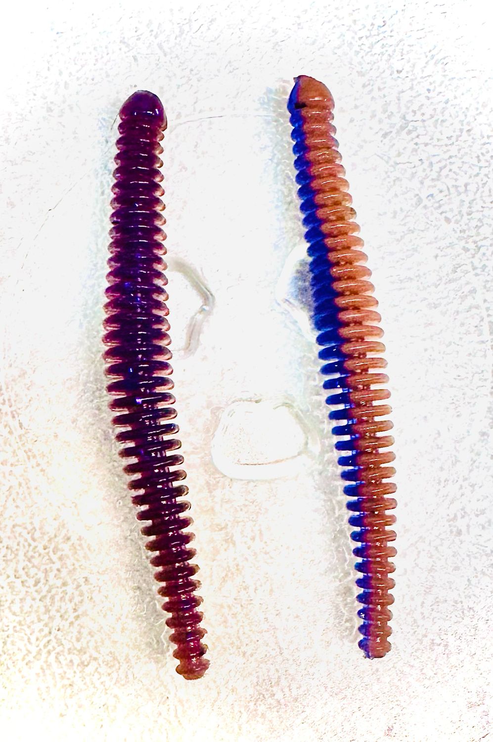 Ring Worms. Pb&amp;j