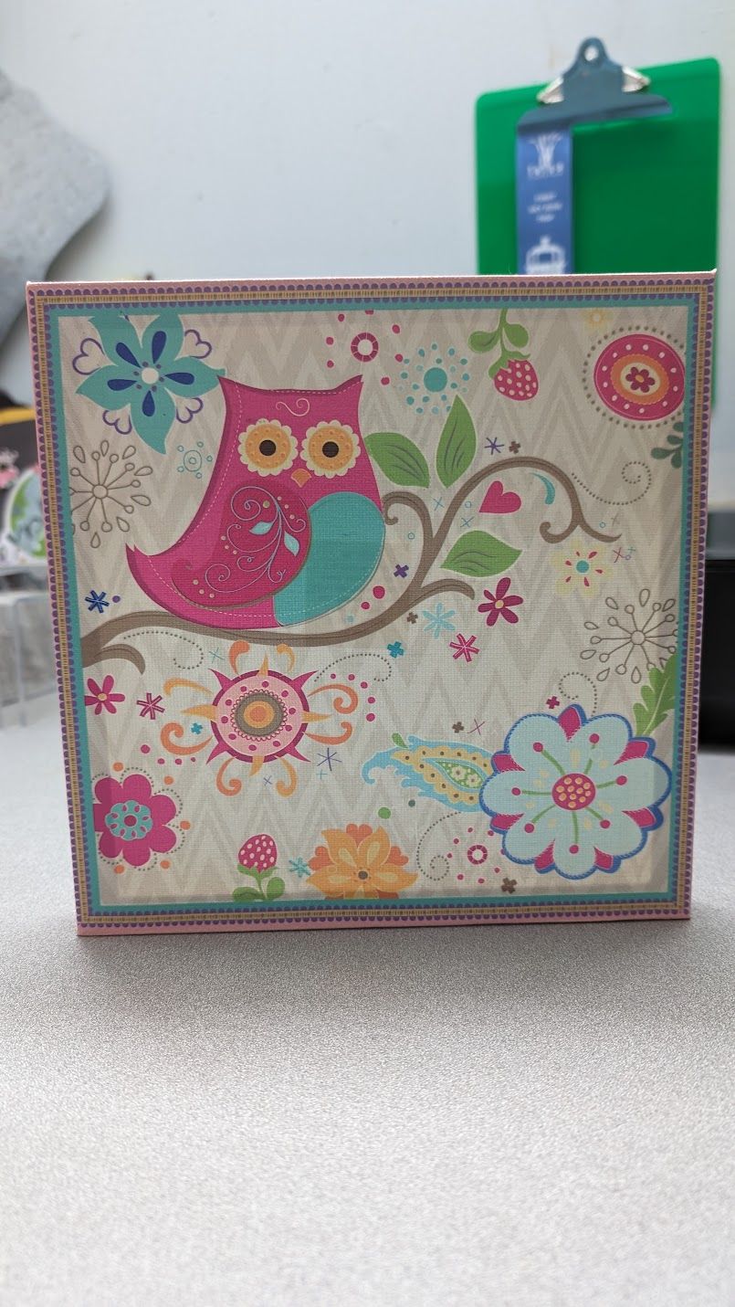 Owl Canvas