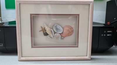 Seashell Shadow Box- Hangable