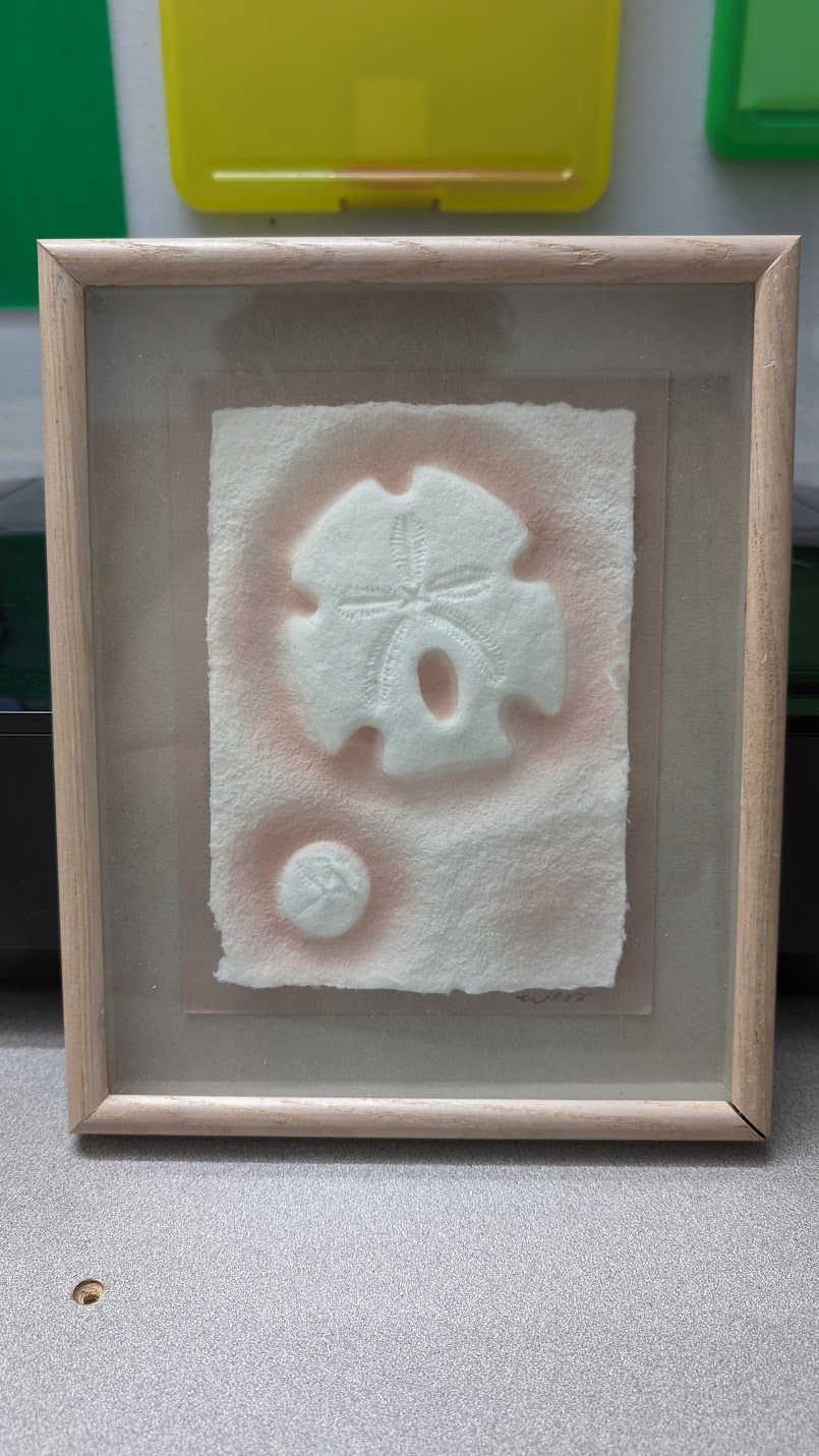 Seashell Shadow Box- Hangable