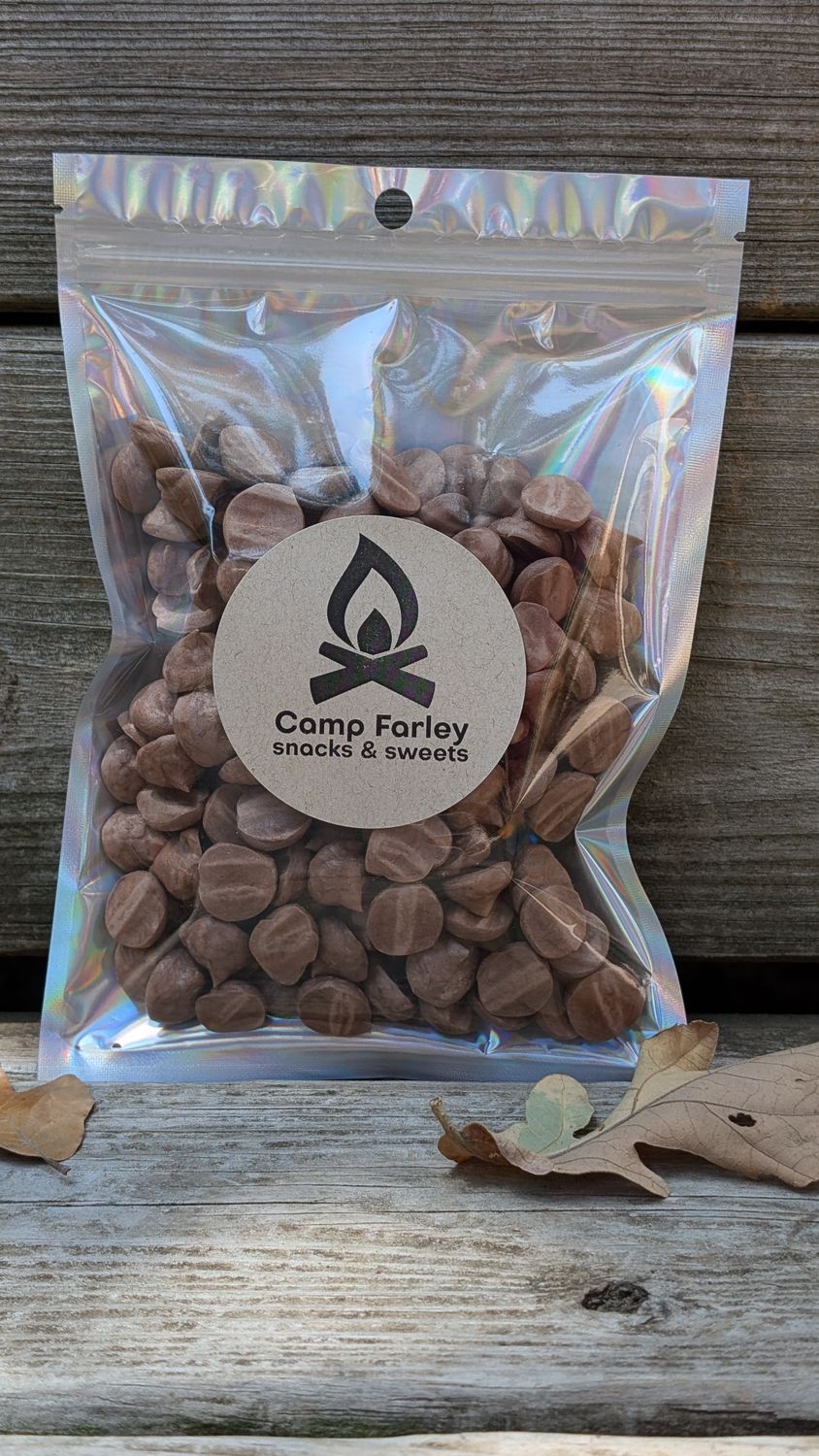 Camp Farley Freeze Dried Chocolate Pudding Bites- 2oz