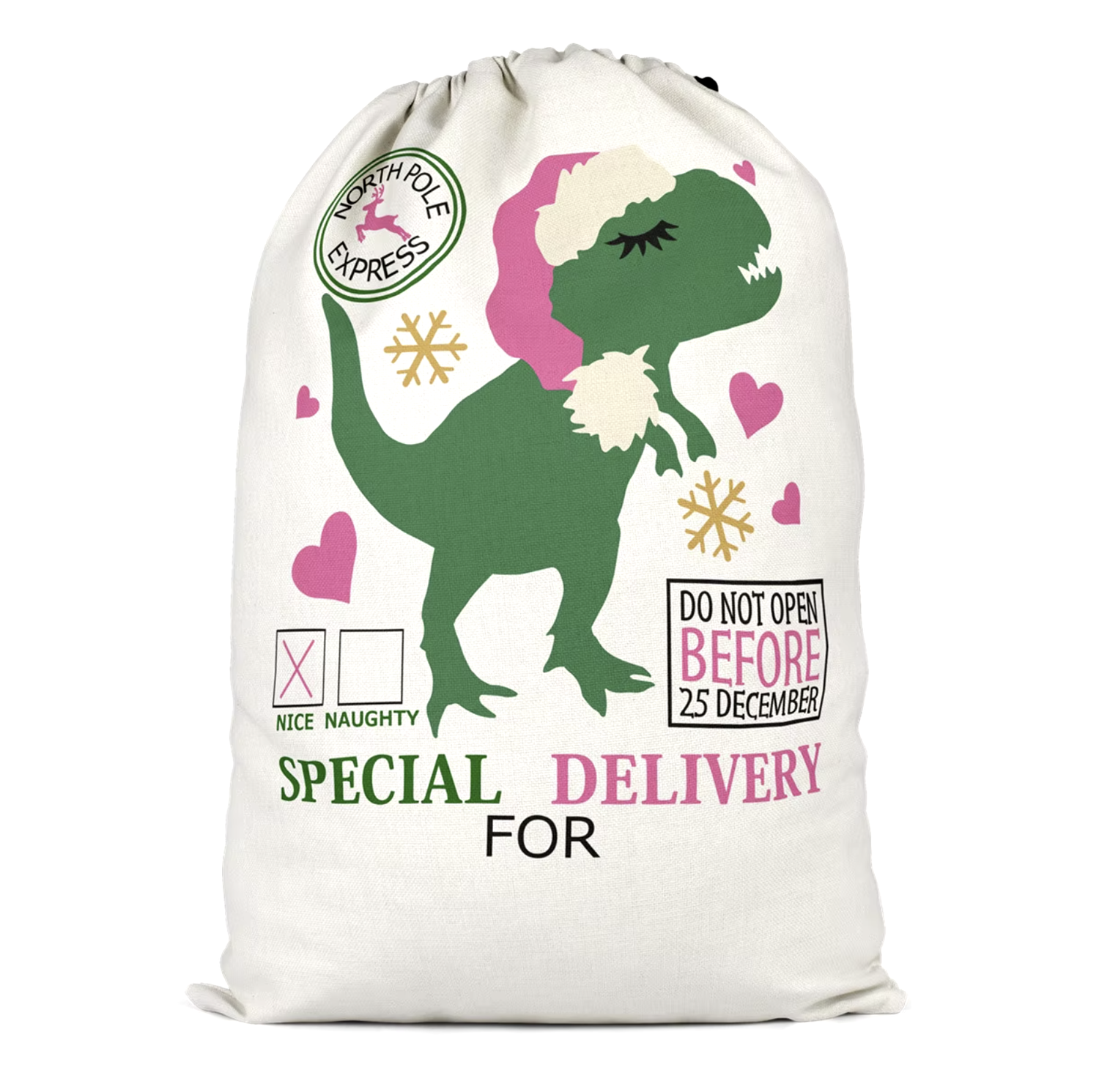 2024 Santa Sack- Girly T-Rex
