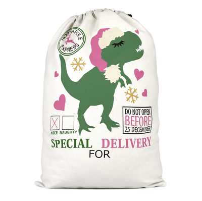 2024 Santa Sack- Girly T-Rex