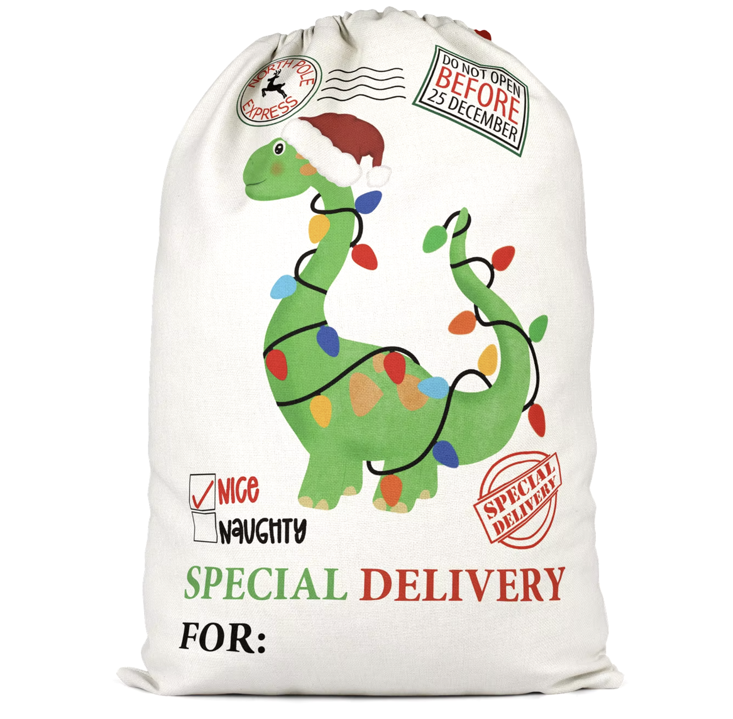 2024 Santa Sack- Dino Lights
