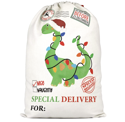 2024 Santa Sack- Dino Lights