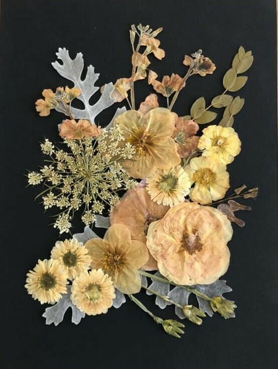 Pressed Flower Kit: Romantic Neutrals Pressed Flower Kit: Romantic Neutrals