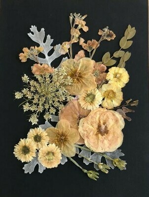 Pressed Flower Kit: Romantic Neutrals Pressed Flower Kit: Romantic Neutrals
