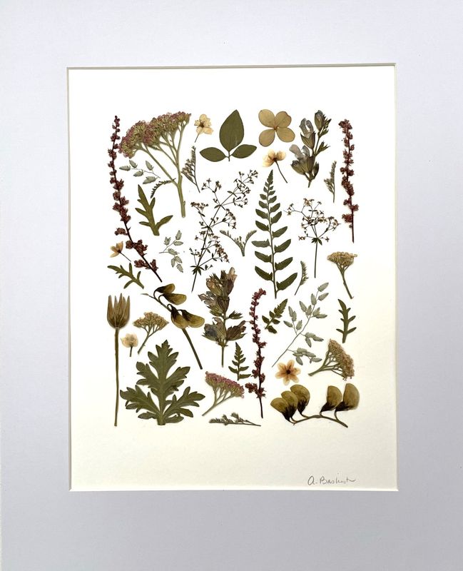 June 22: Pressed Flower Collage Workshop