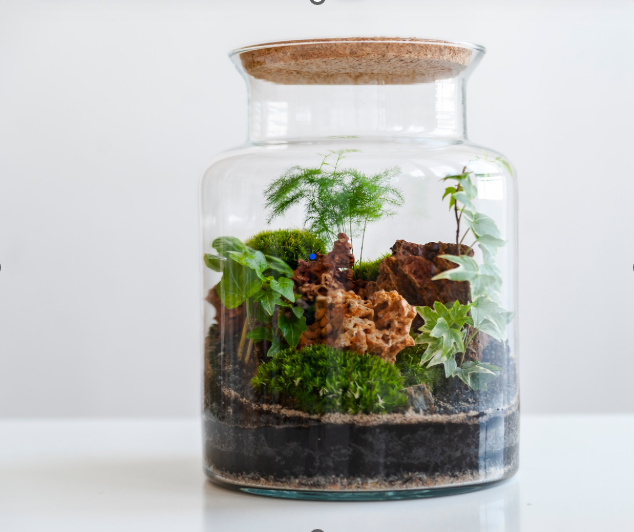 July 27: Terrarium Workshop