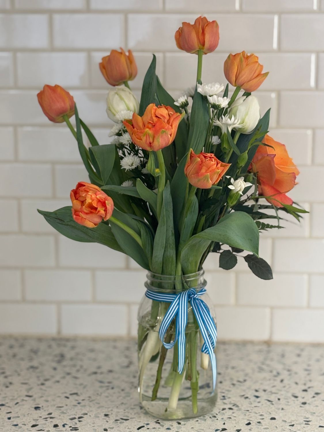 Winter Blues TULIP CSA!