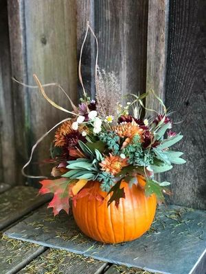 Fall & Winter Holidays!