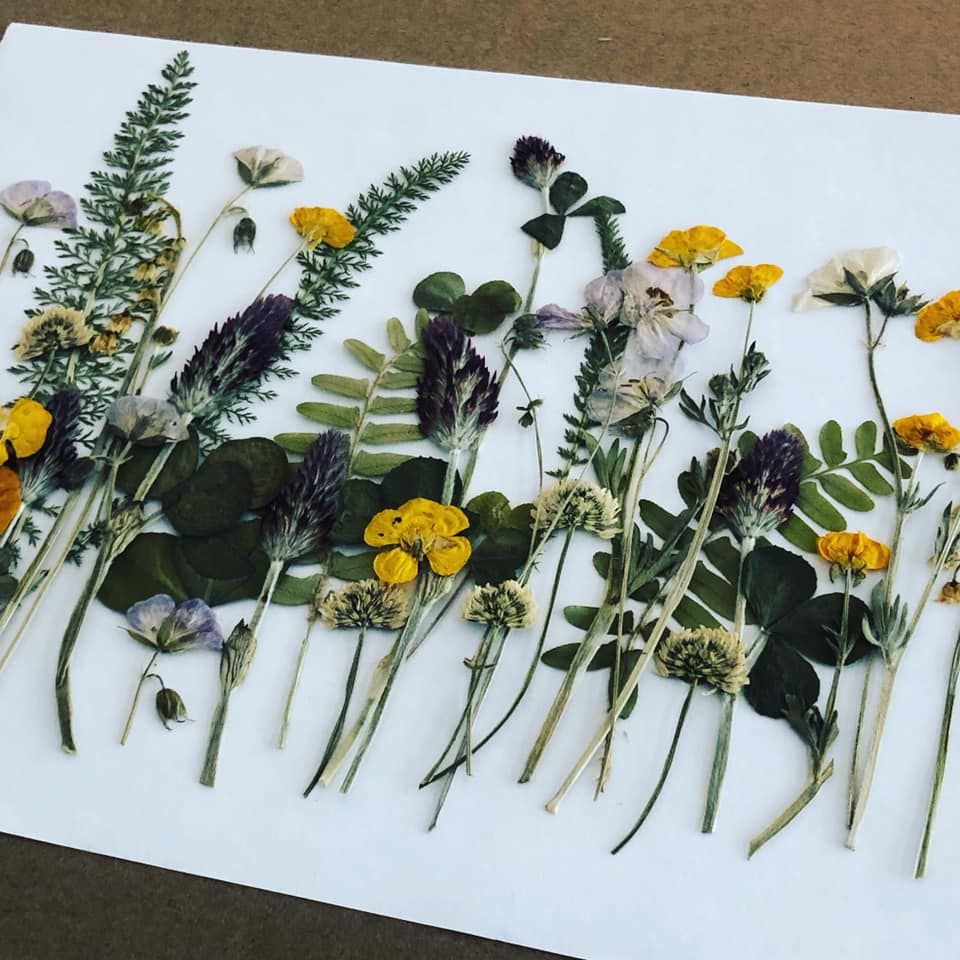 Feb 22, 2026: Pressed Flower Collage Workshop