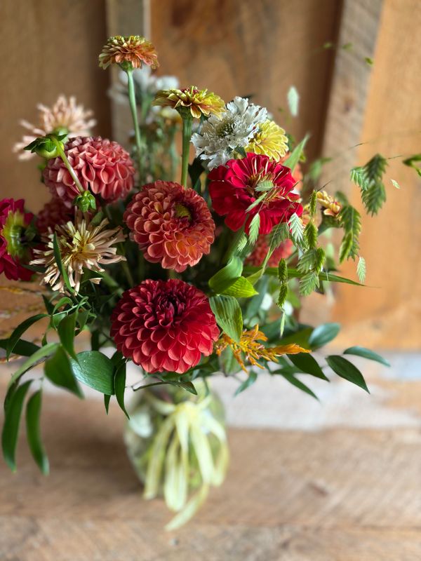 2026 6-week HAPPY FALL DAHLIA Flower Share - DELIVERY option
