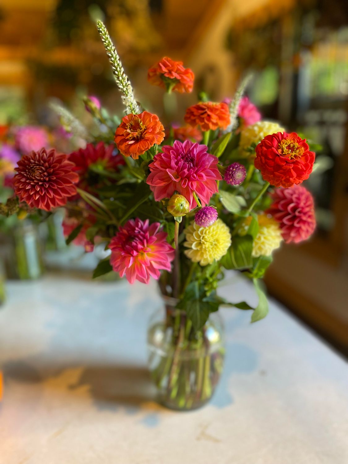 2026 6-week HAPPY FALL DAHLIA Flower Share - PICKUP Option