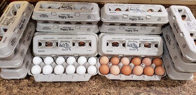 One Dozen Pasture Raised Eggs