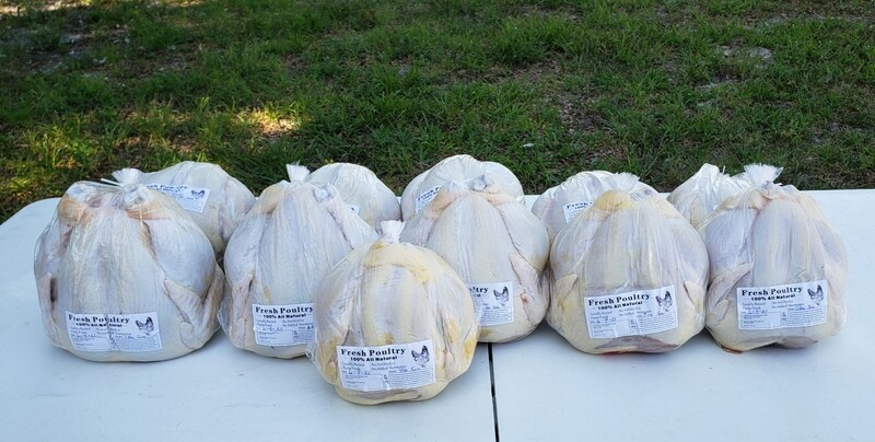 Pre-Order Pasture Raised Whole Chicken