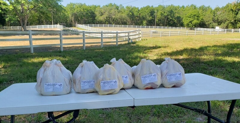 Pre-Order Pasture Raised Whole Chicken