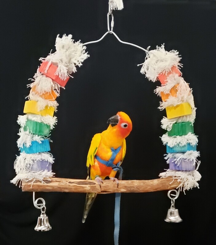 Small+ Swing SWSP-1