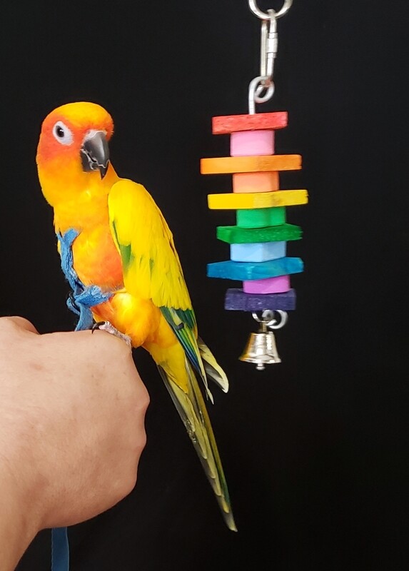 Tiny Bird Toy ST-3