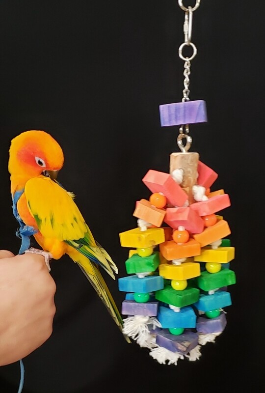 Small+ Bird Toy SSP-1