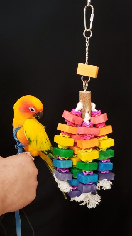 Small+ Bird Toy SSP-4